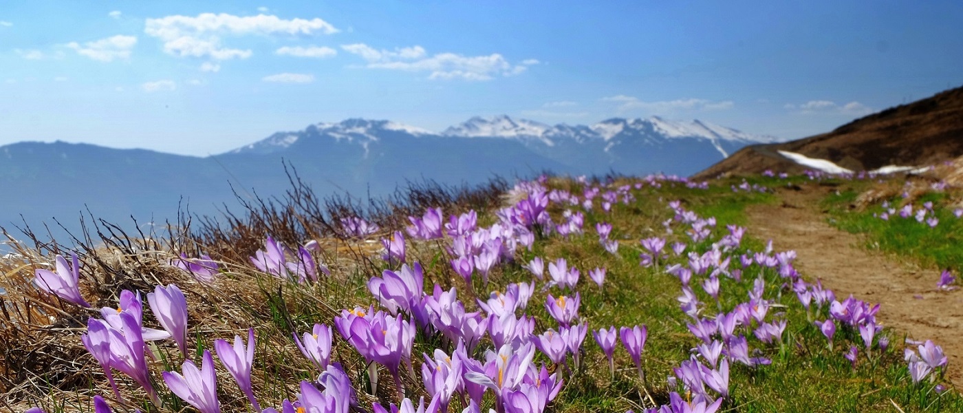 Doganaccia - Montagna Pistoiese